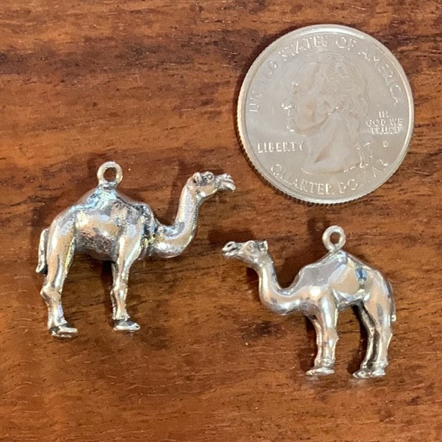 Dromedary Camel - CharmWorks
