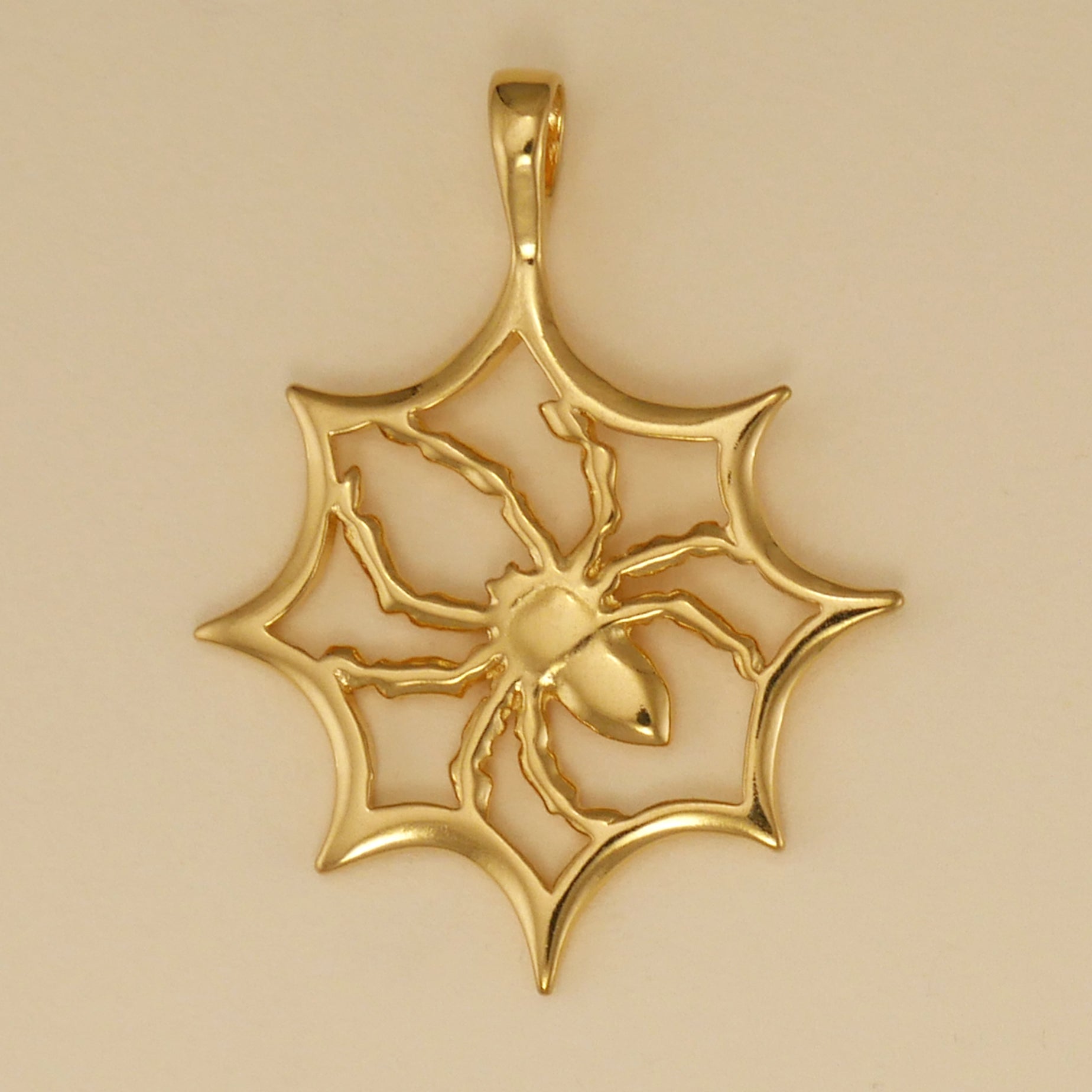 Spider In Web Necklace