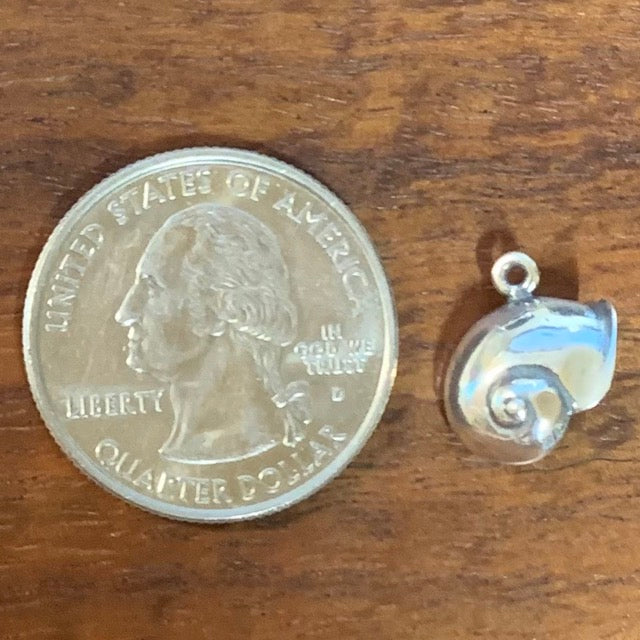 Smooth Turban Shell - CharmWorks