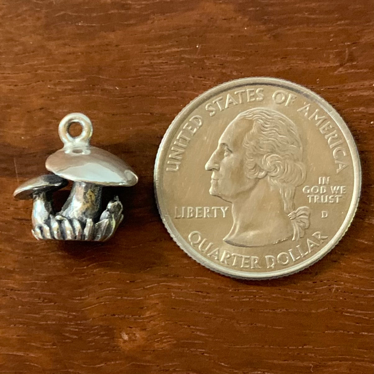 Mushrooms - CharmWorks