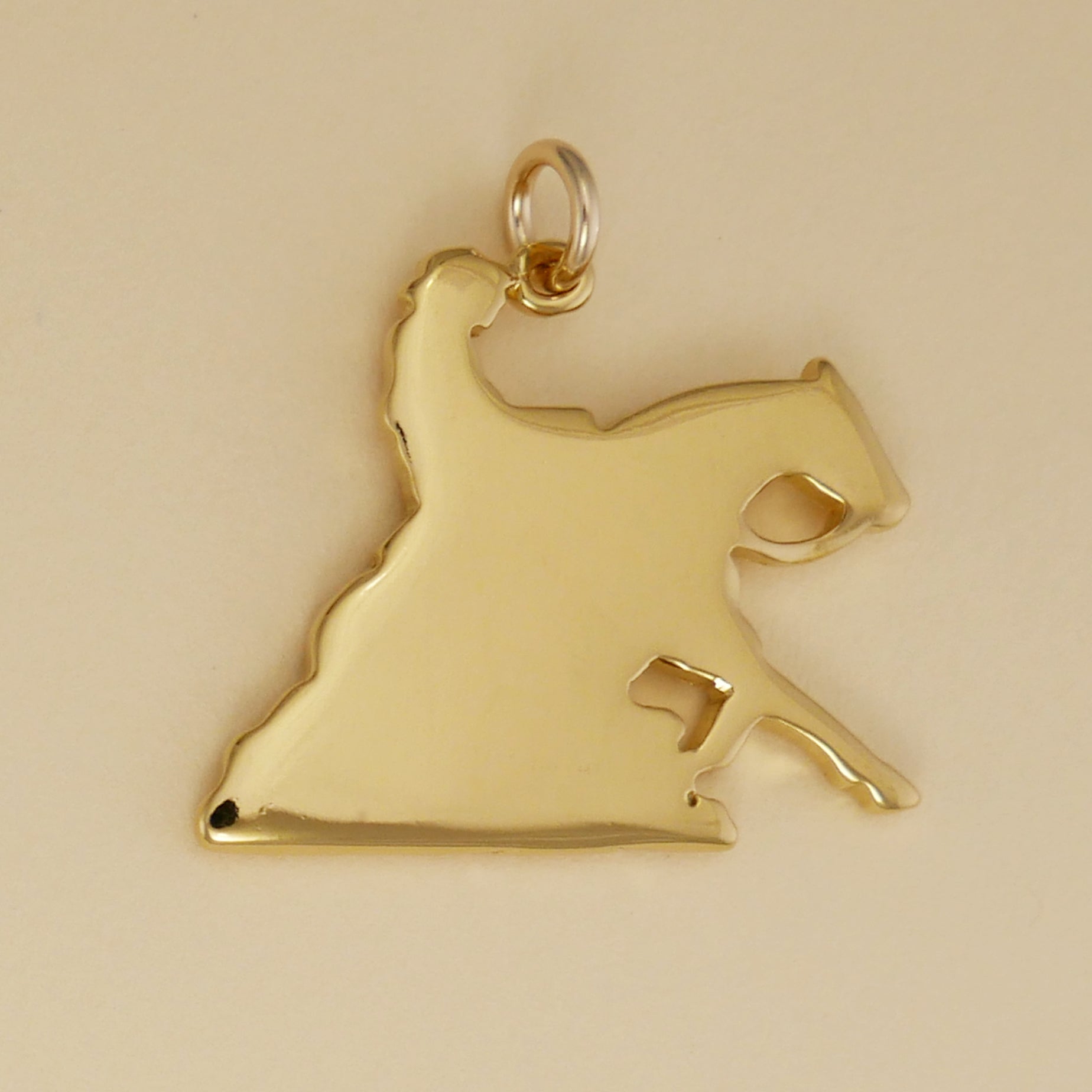 Reining Horse Pendant - Charmworks