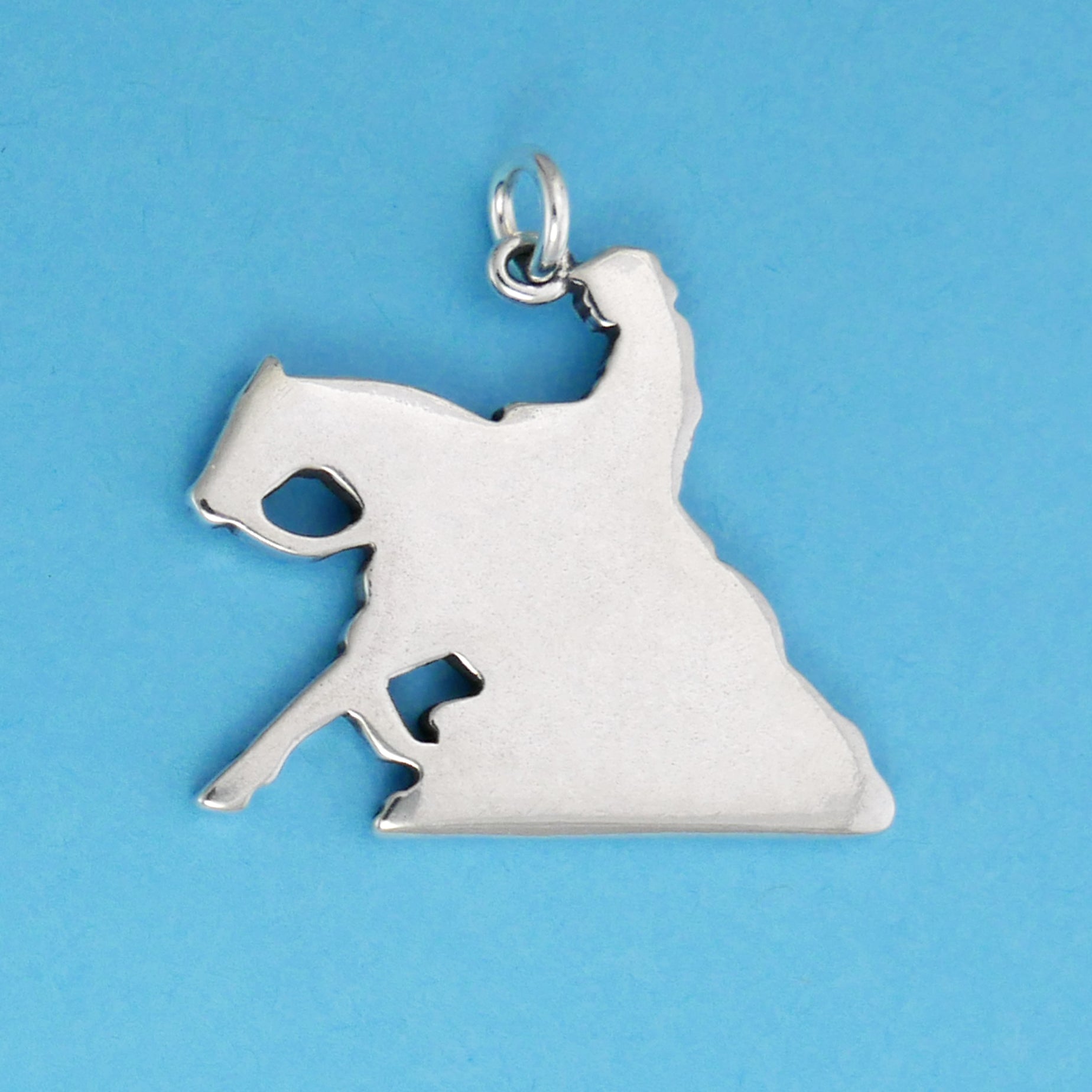 Necklace Reining Horse Silver & Gold plated