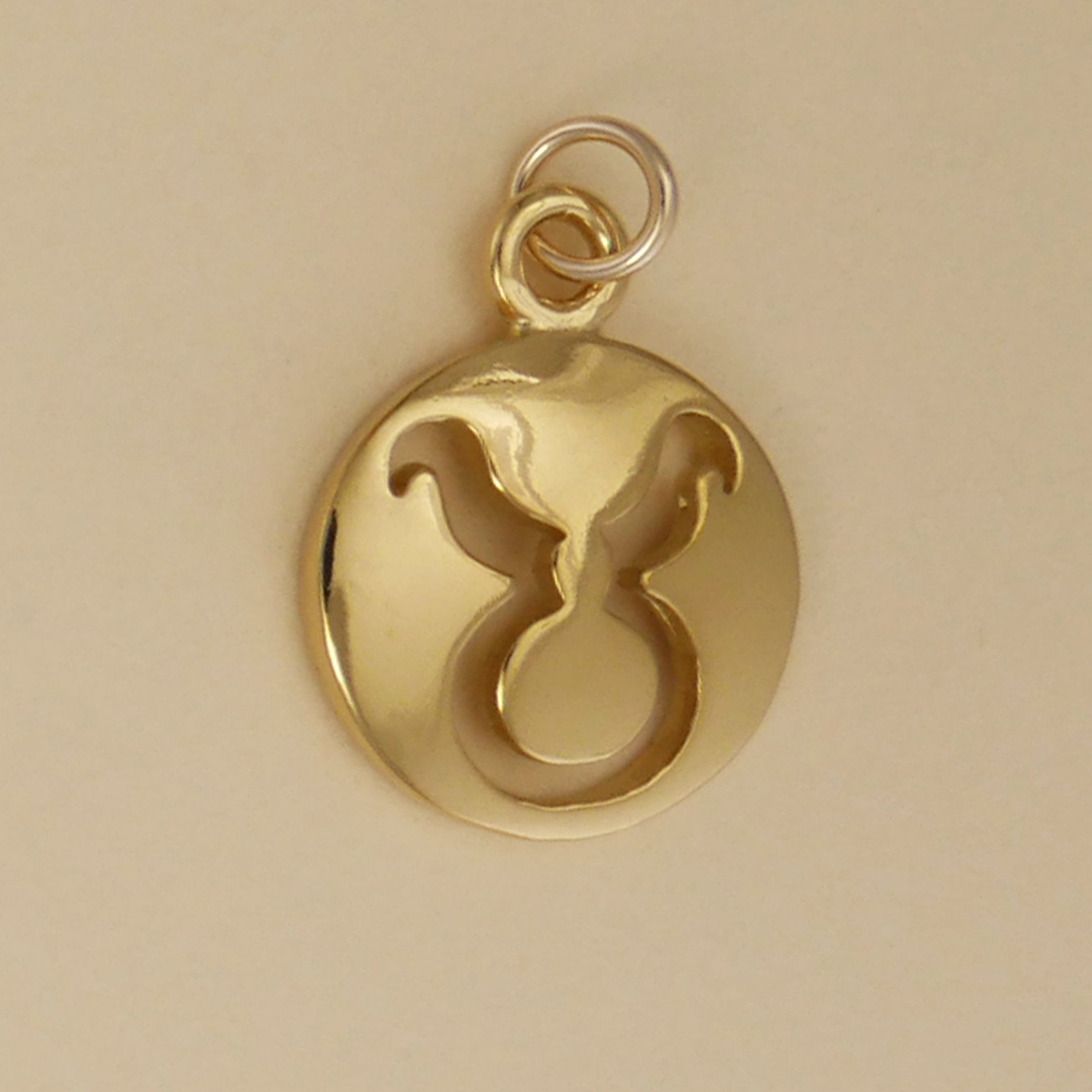 Smooth Zodiac Charms - Charmworks