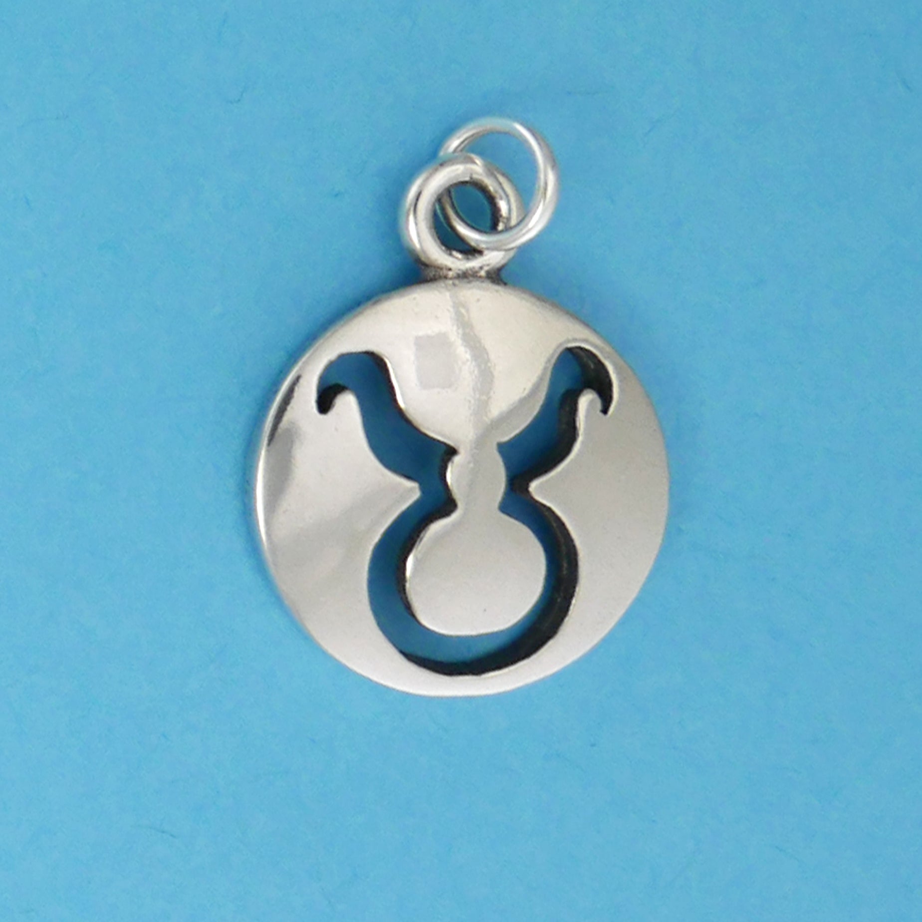 Smooth Zodiac Charms - Charmworks