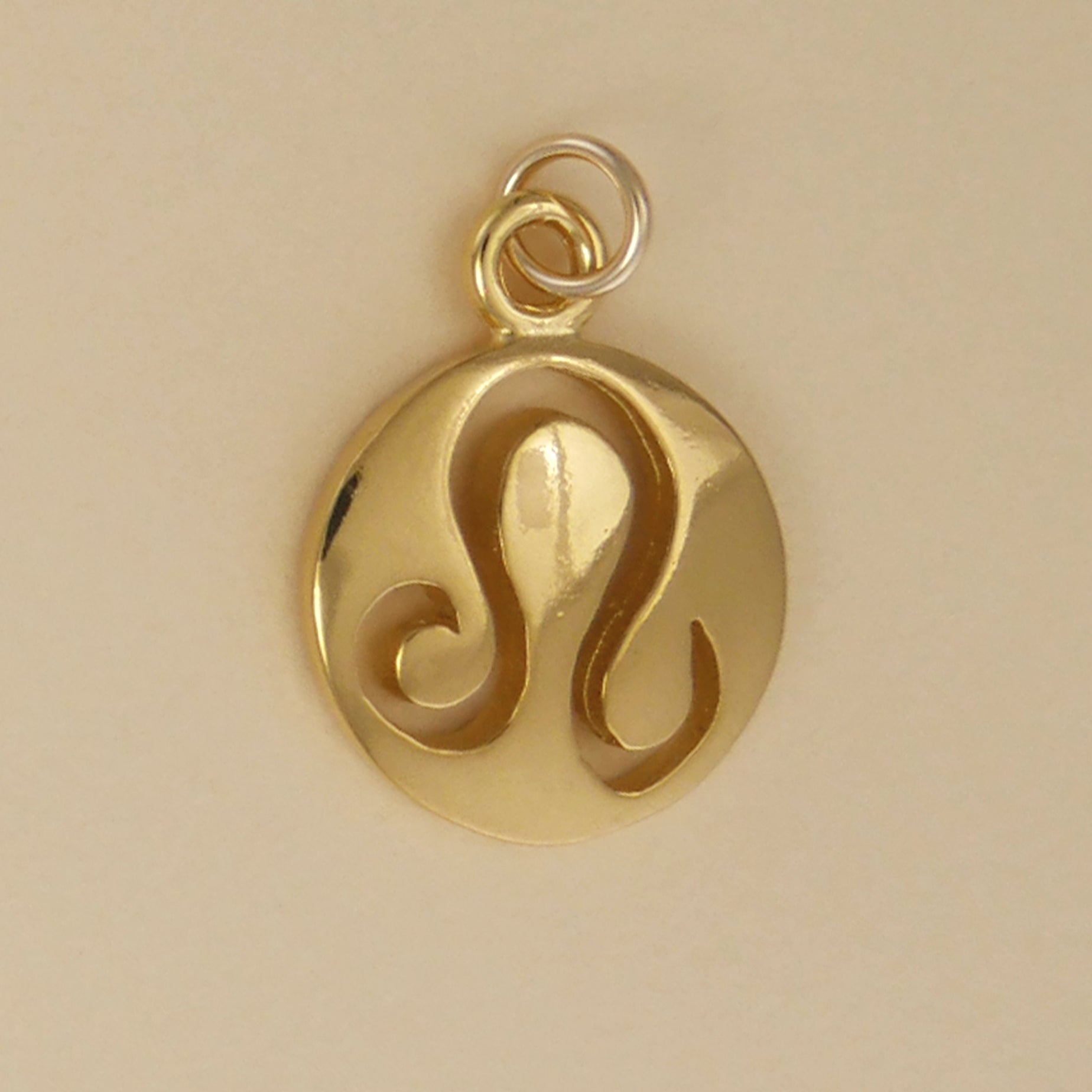 Smooth Zodiac Charms - Charmworks