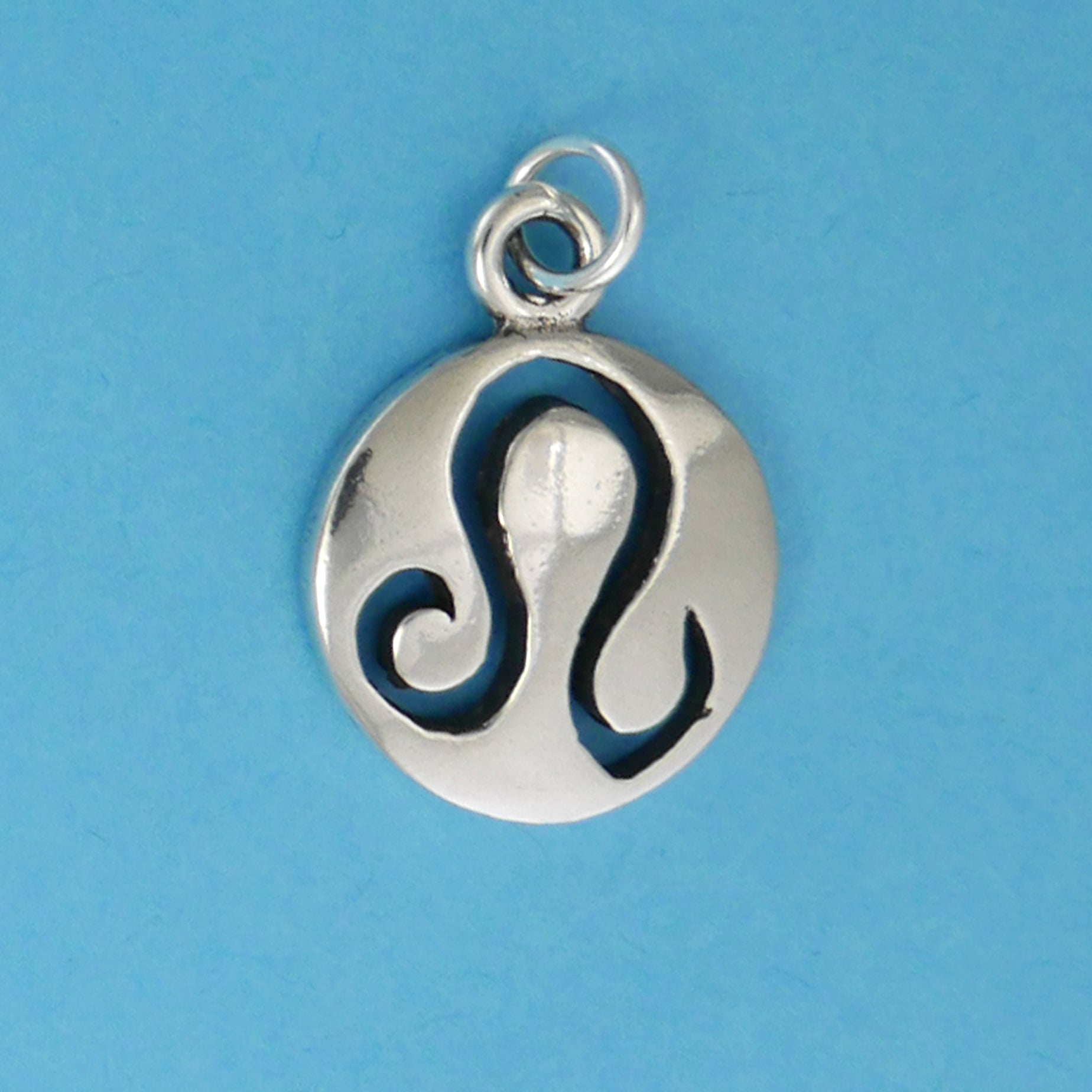 Smooth Zodiac Charms - Charmworks