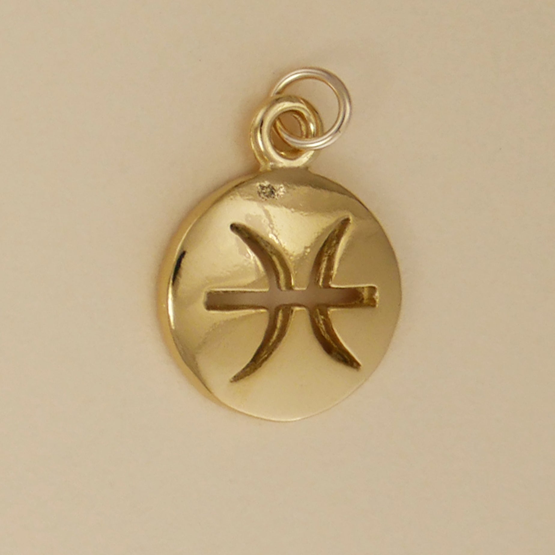 Smooth Zodiac Charms - Charmworks