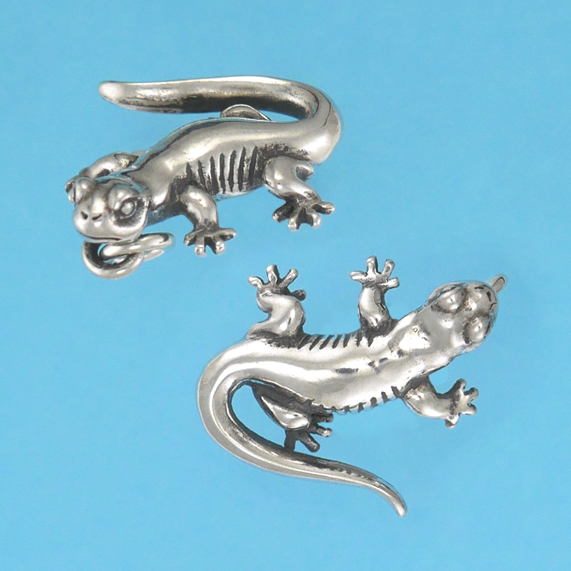 SALAMANDER Chronicles of Fire 2 Oz Moneta Argento 10 Cedis Ghana 2024