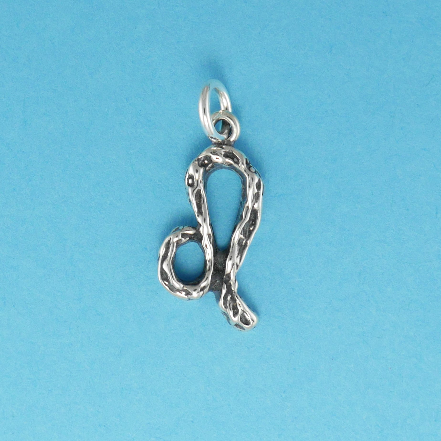 Textured Zodiac Charms - Charmworks