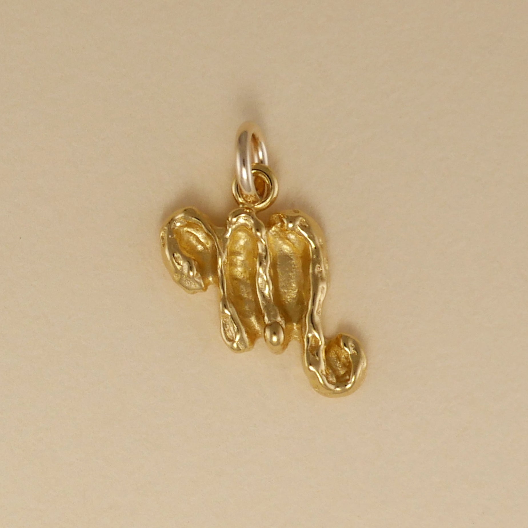 Textured Zodiac Charms - Charmworks