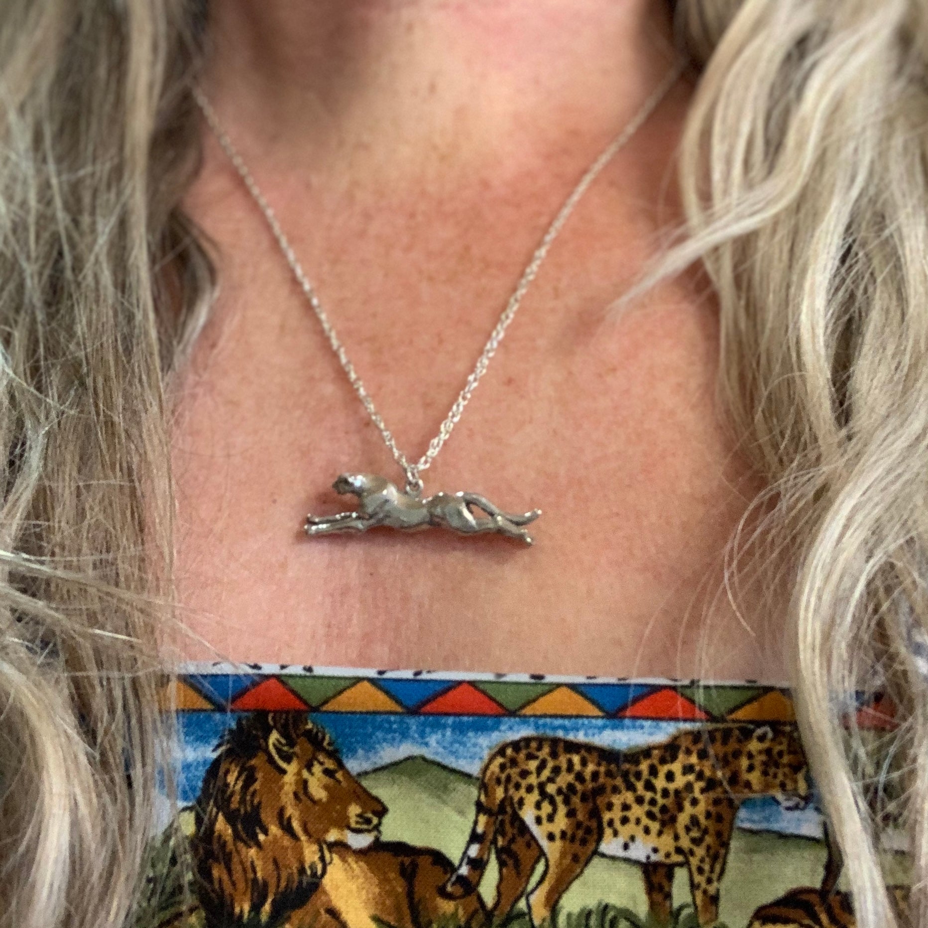 Cheetah - Charmworks