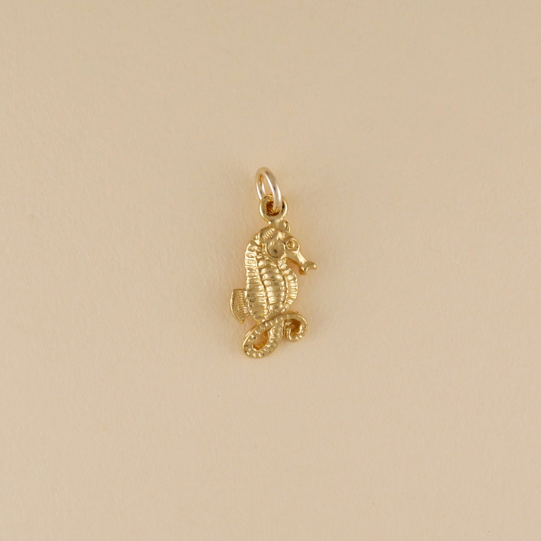 Seahorse - Charmworks