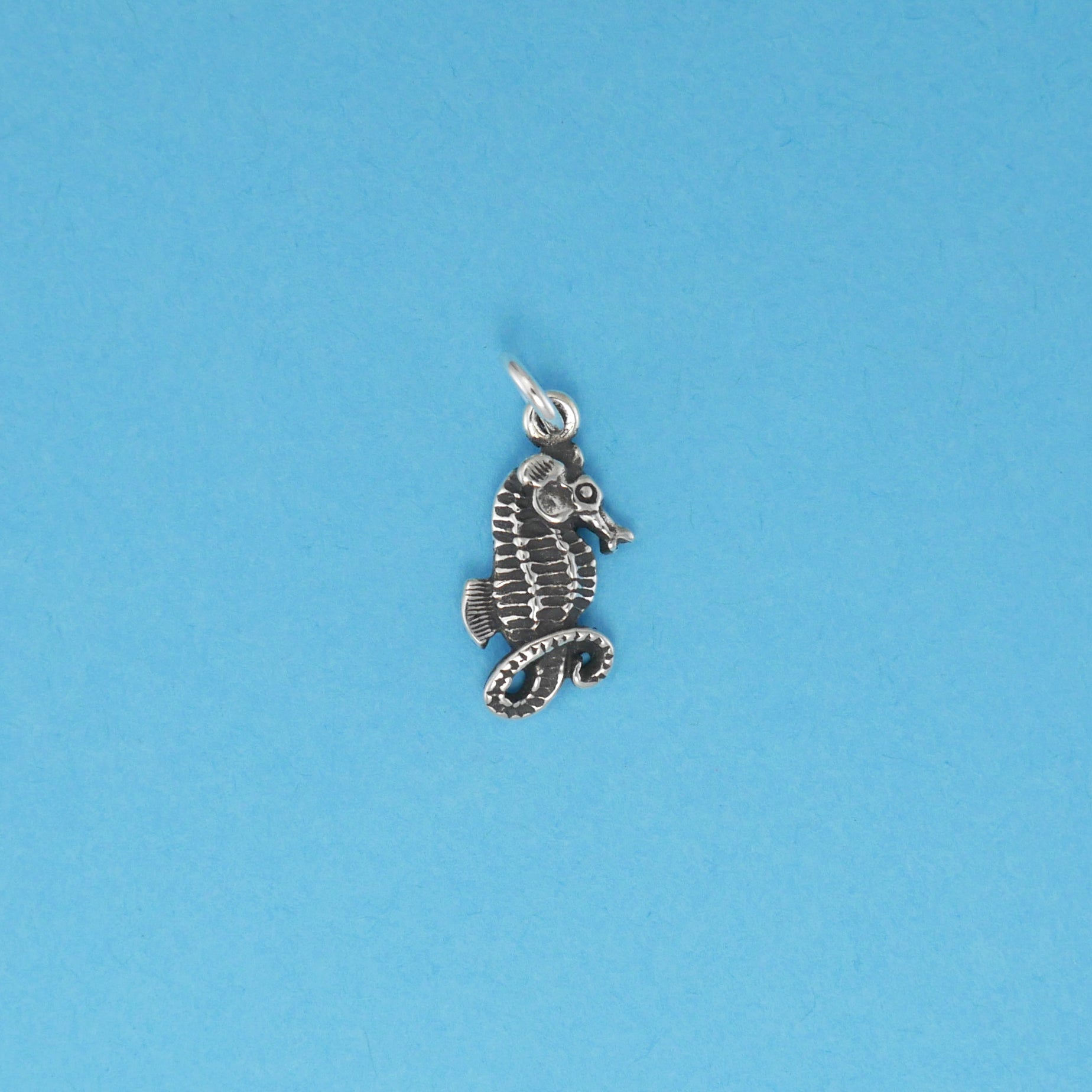 Seahorse - Charmworks