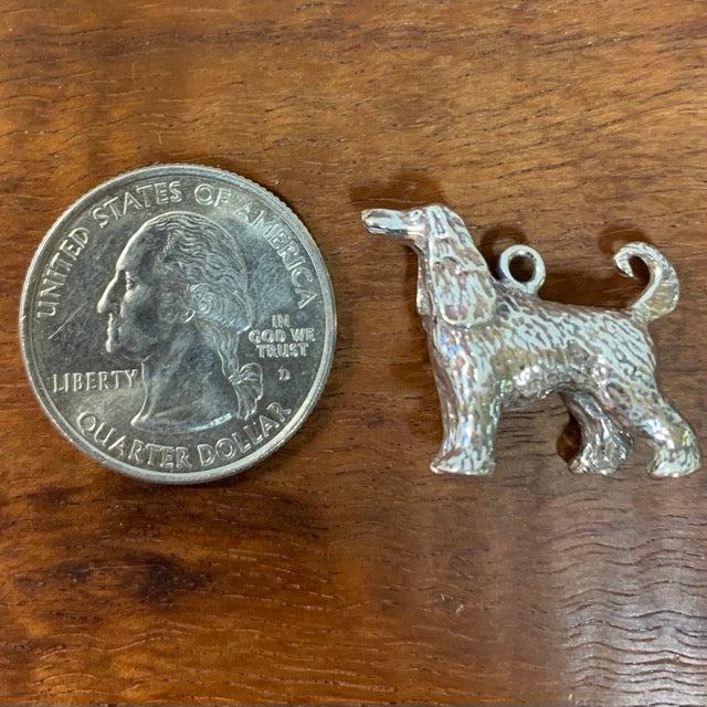 Afghan Hound - Charmworks