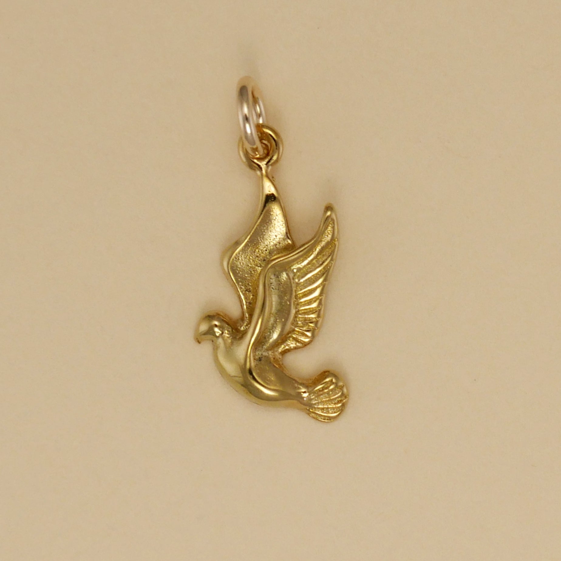 Landing Dove Charm - Charmworks