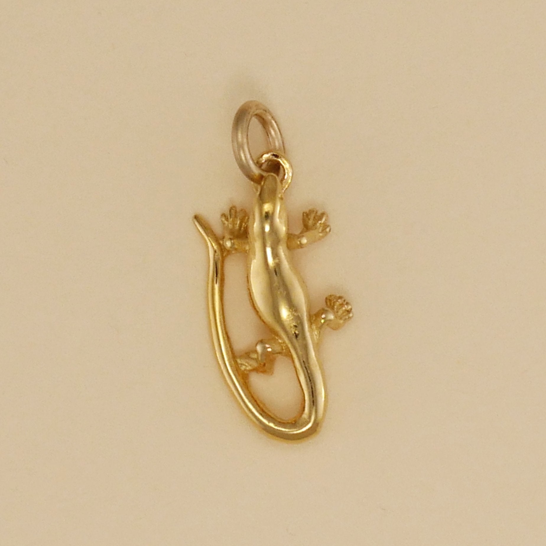 Skink Charm - Charmworks