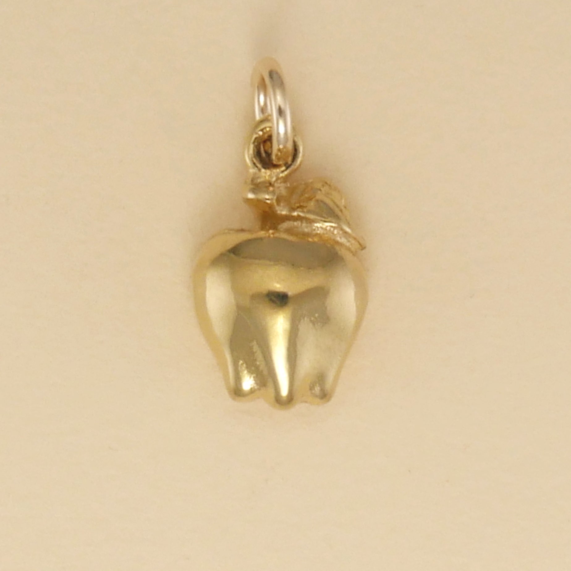 Apple Charm - Charmworks