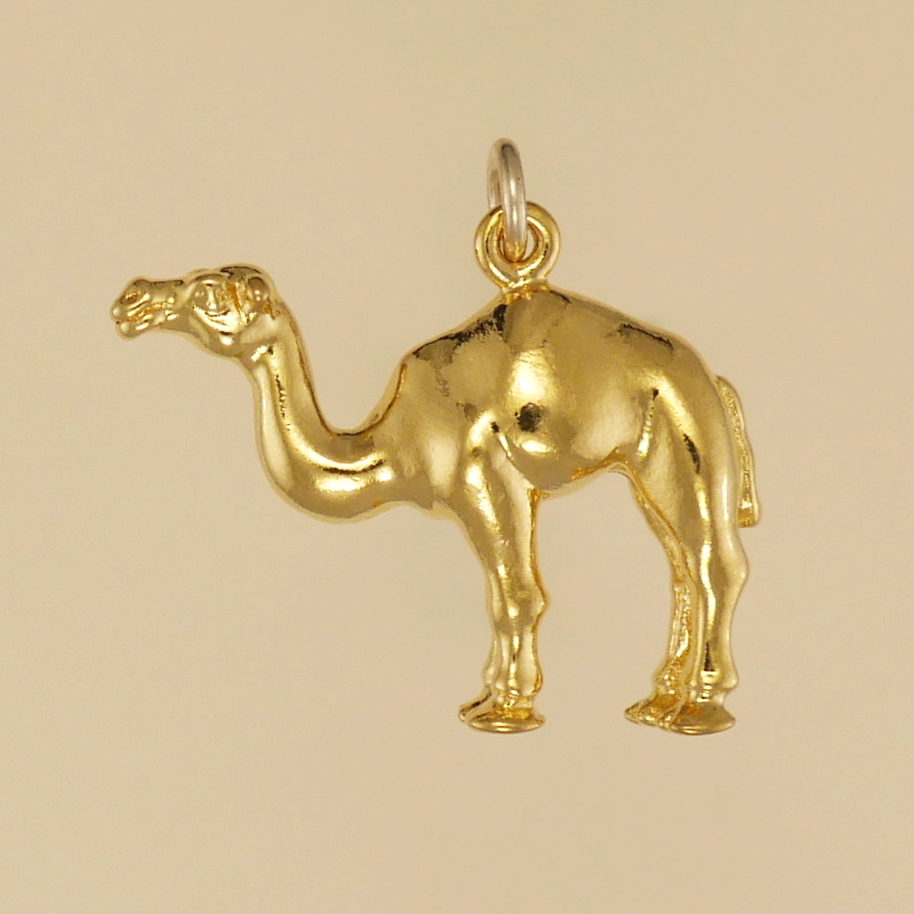 Dromedary Camel - Charmworks