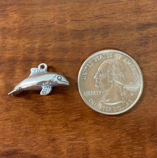 Commerson's Dolphin - Charmworks