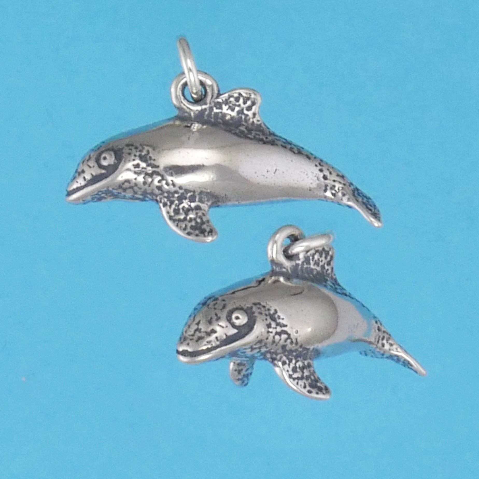 Commerson's Dolphin Charm - Charmworks