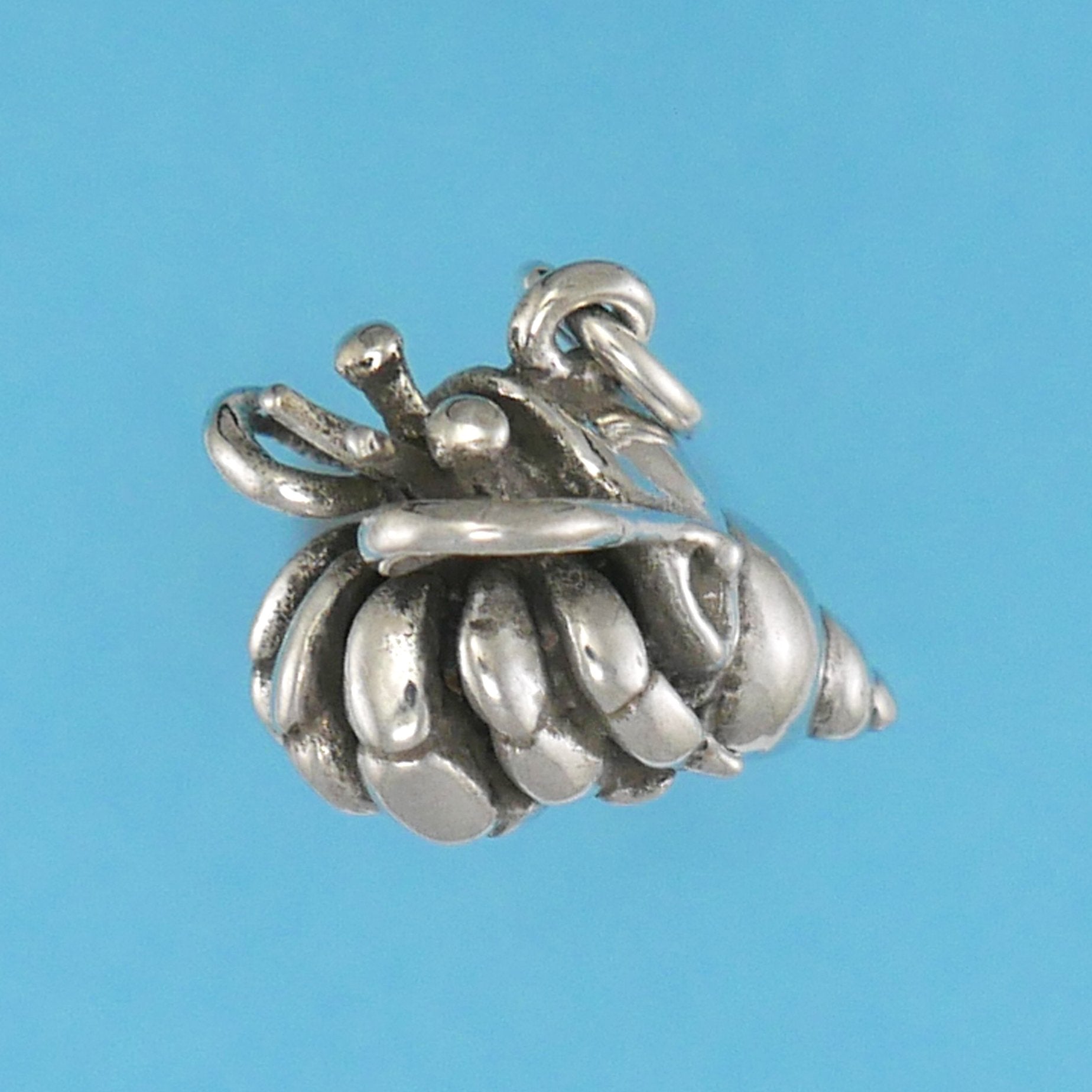 Hermit Crab Charm - Charmworks