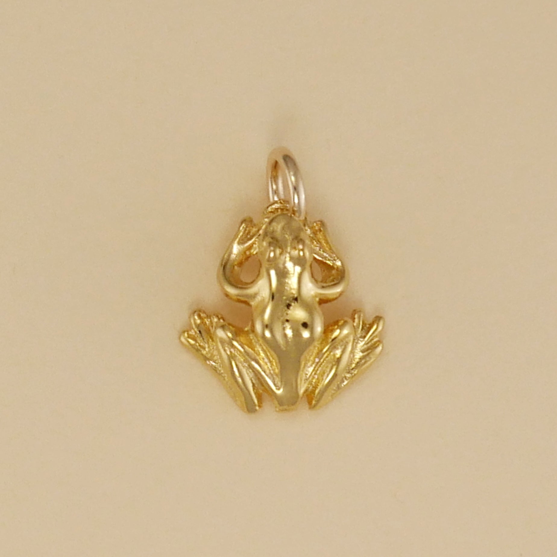 Frog Charm - Charmworks