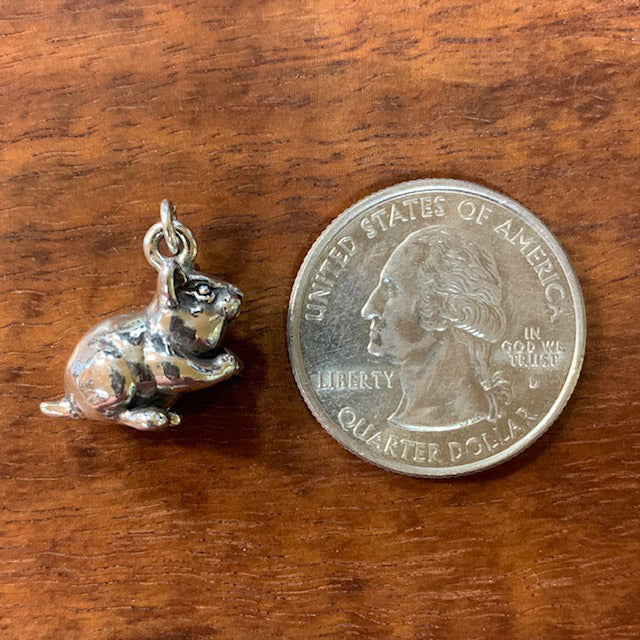 Hamster - CharmWorks