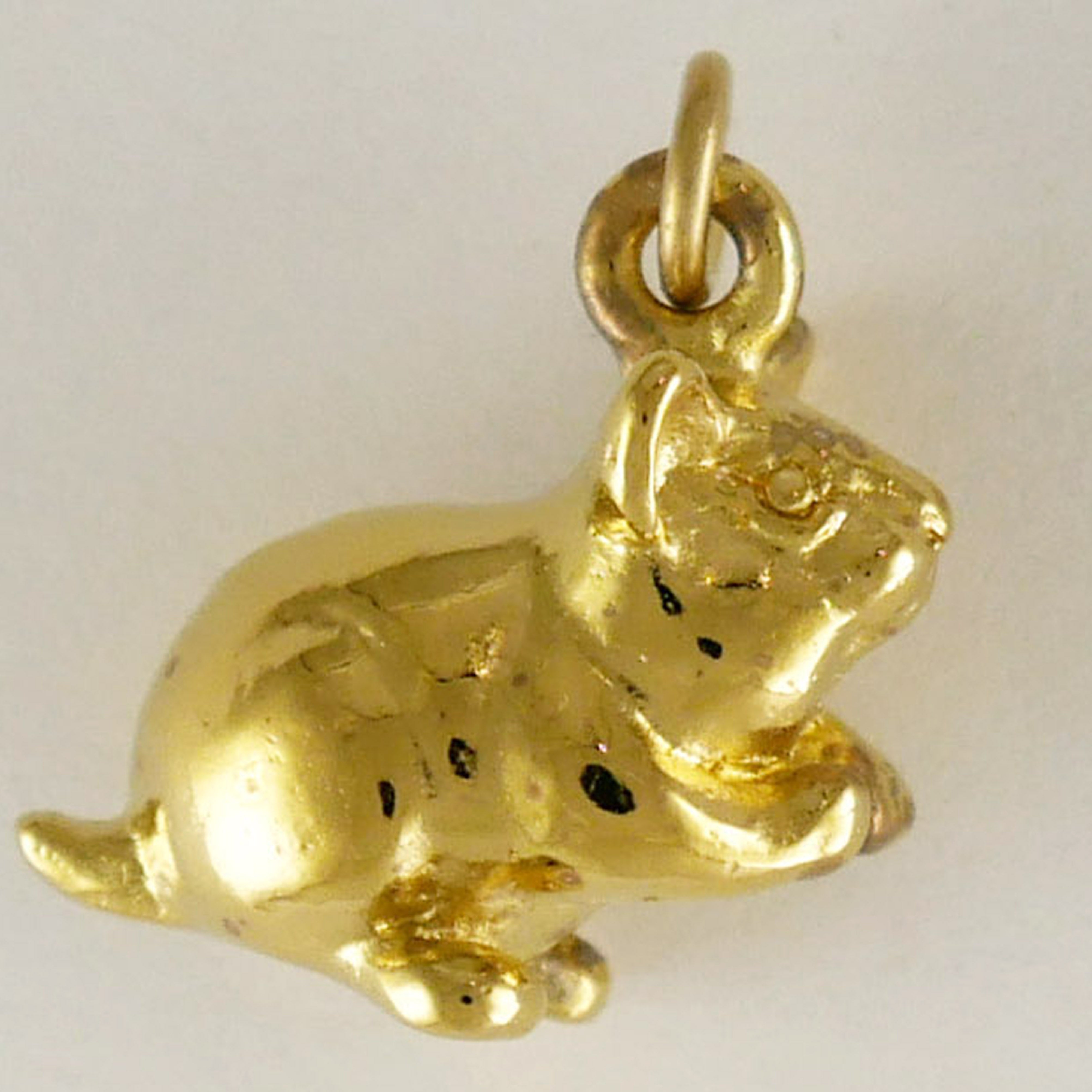 Hamster - Charmworks