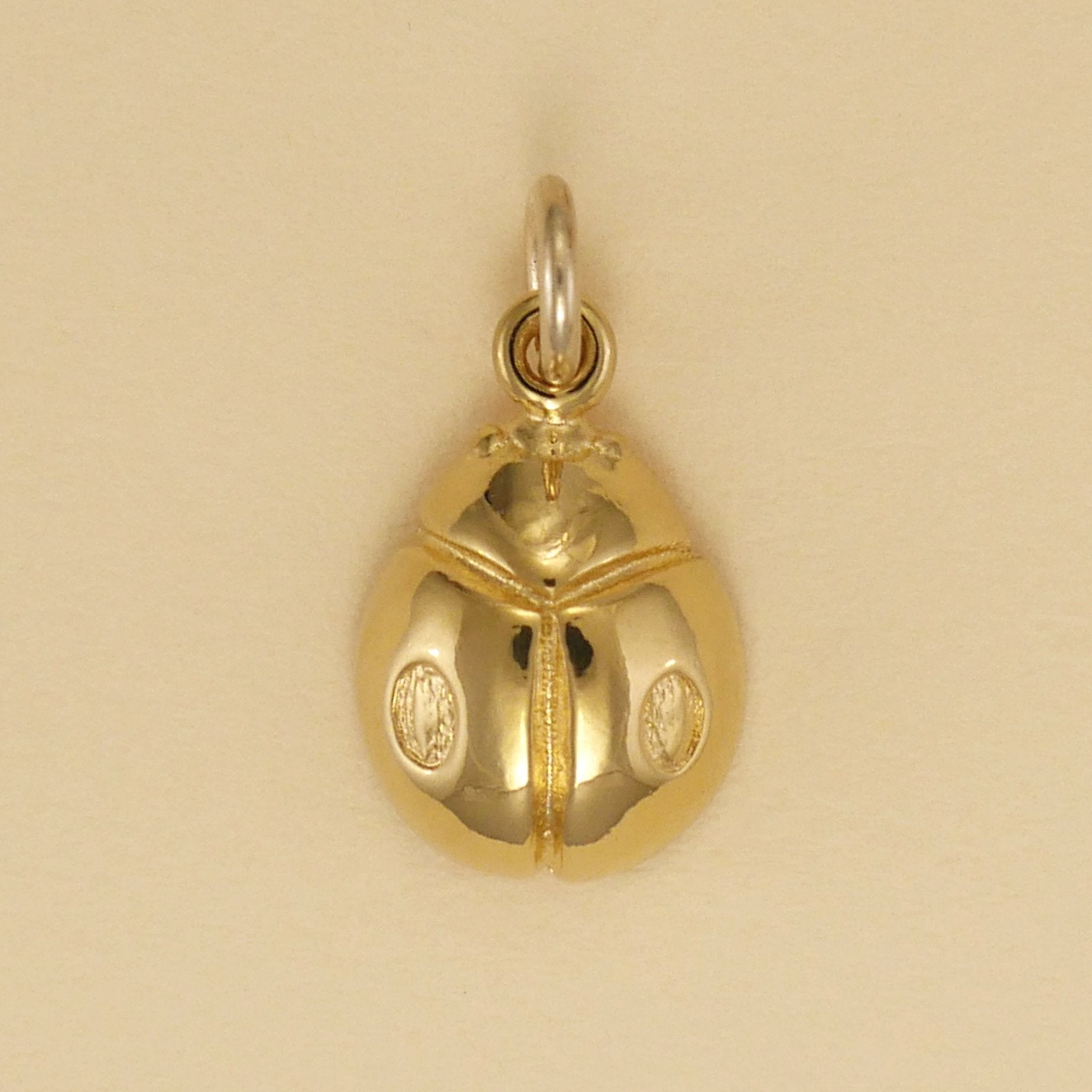 Lady Bug Charm - Charmworks