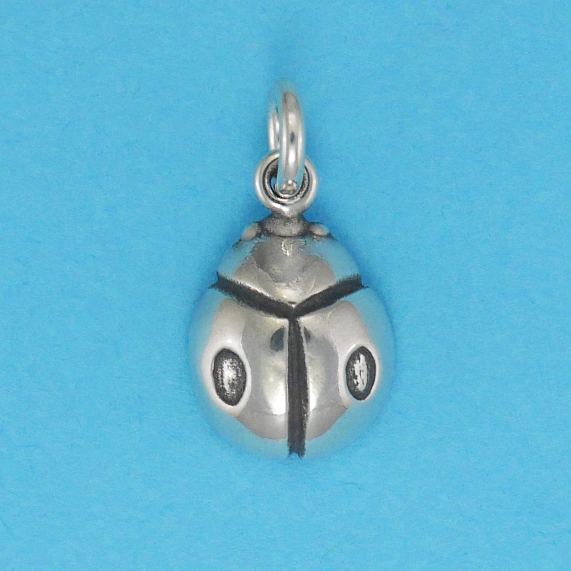 Lady Bug Charm - Charmworks