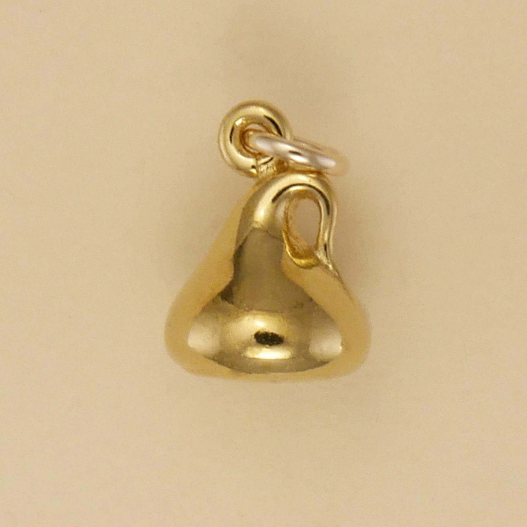 Chocolate Chip Charm - Charmworks