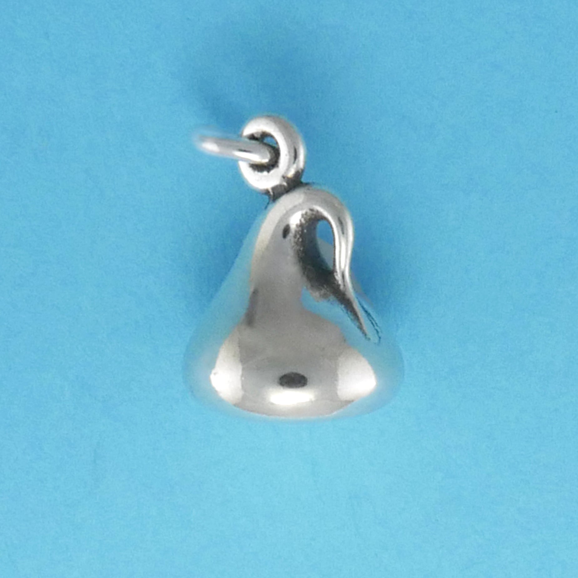Chocolate Chip Charm - Charmworks