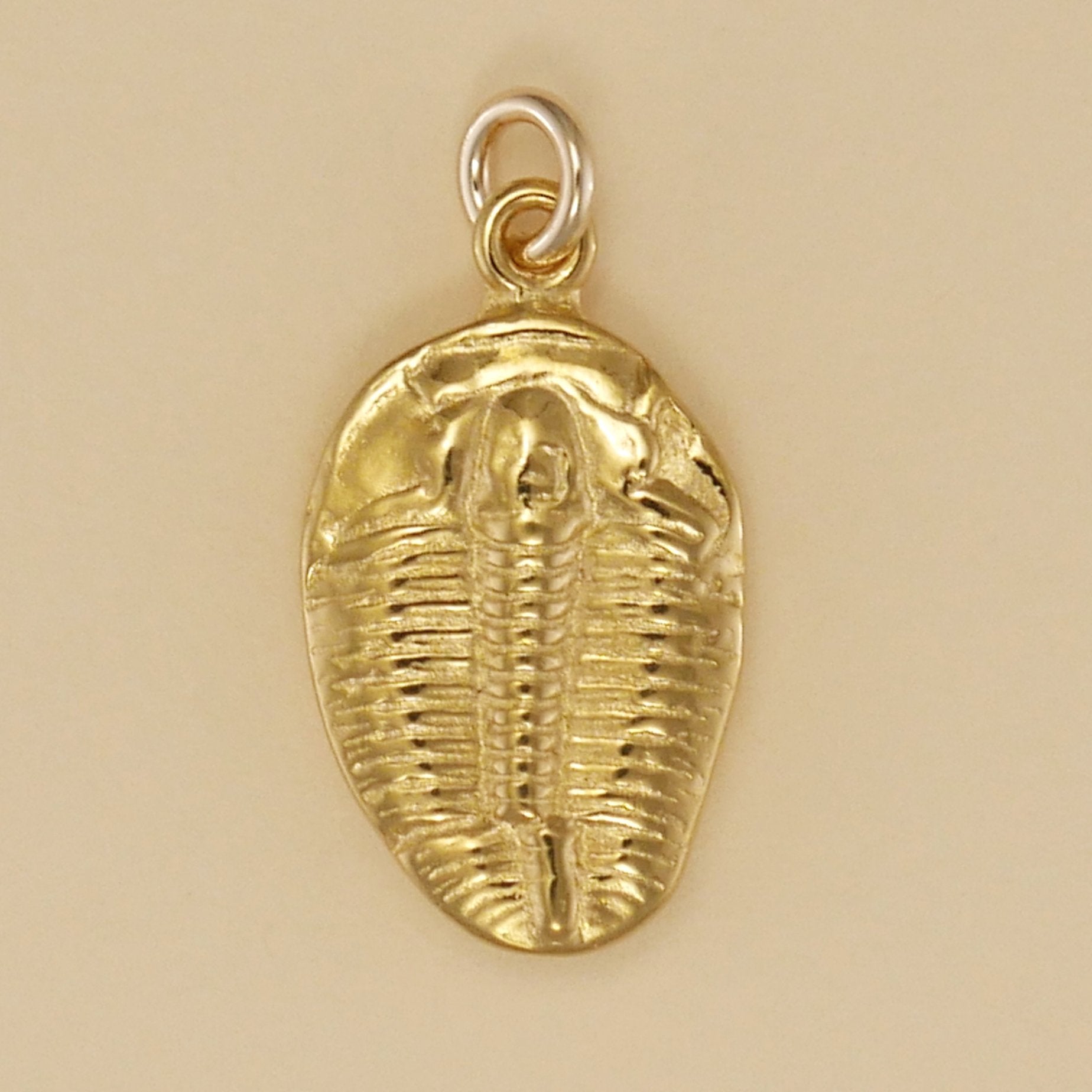 Trilobite Fossil Charm - Charmworks