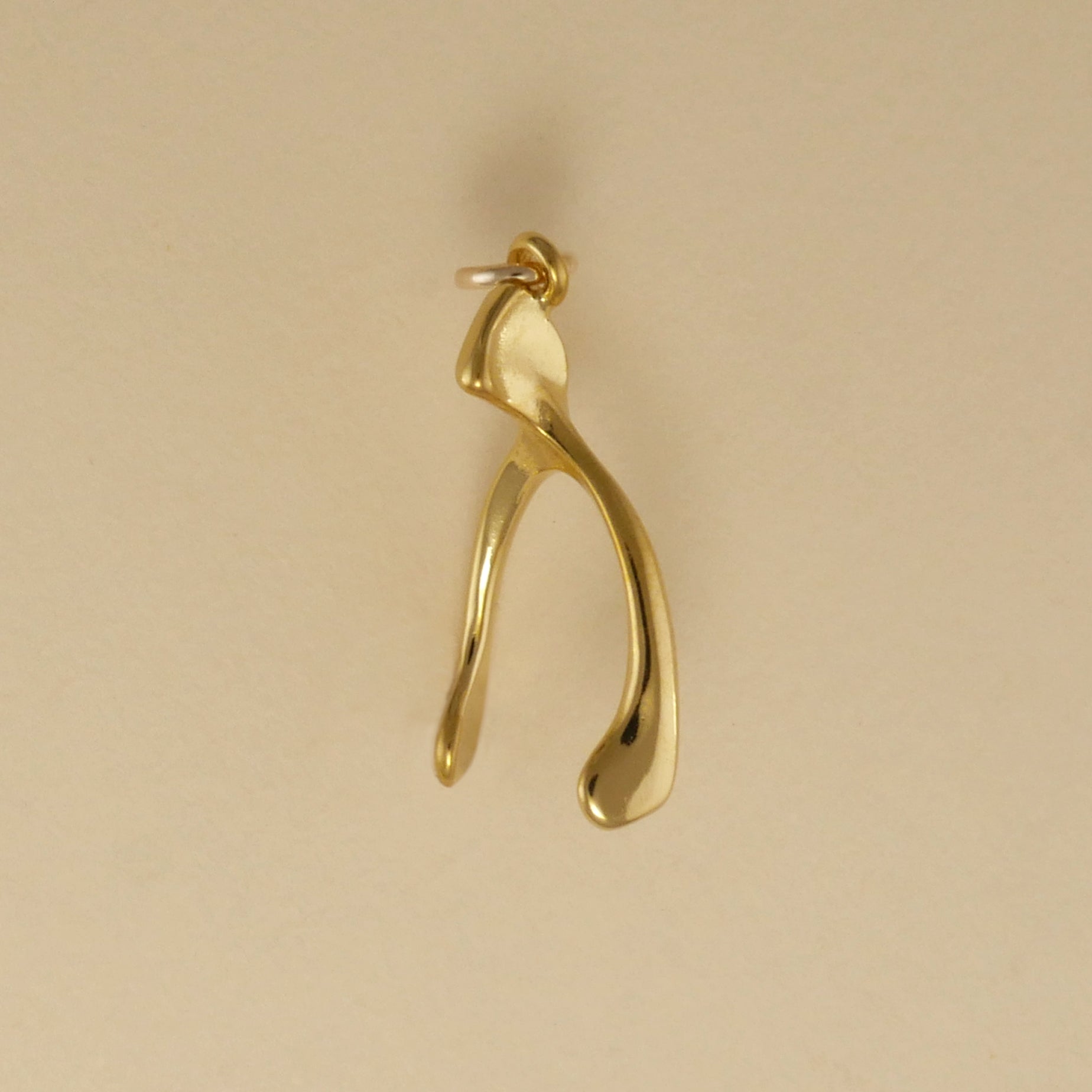 Wishbone Charm - Charmworks