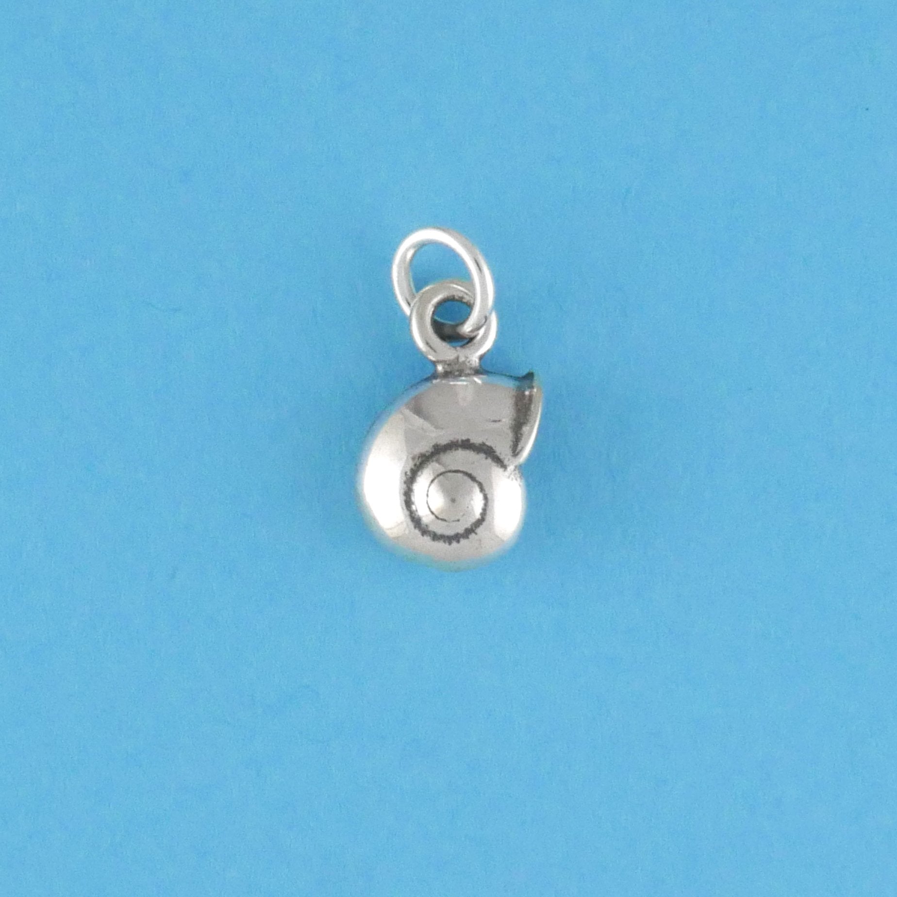 Sea Snail Shell Charm - Charmworks