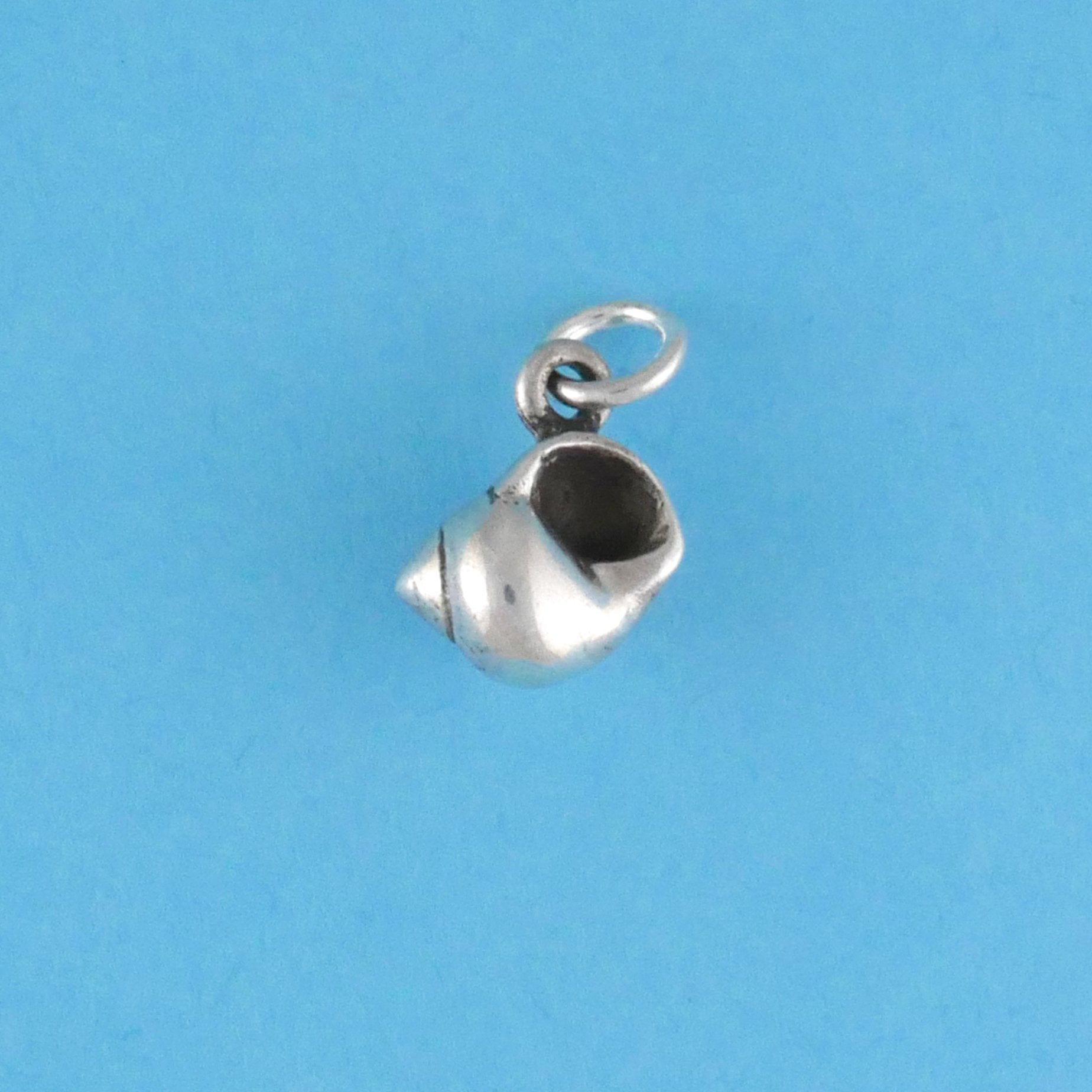 Margarita Sea Snail Shell Charm - Charmworks