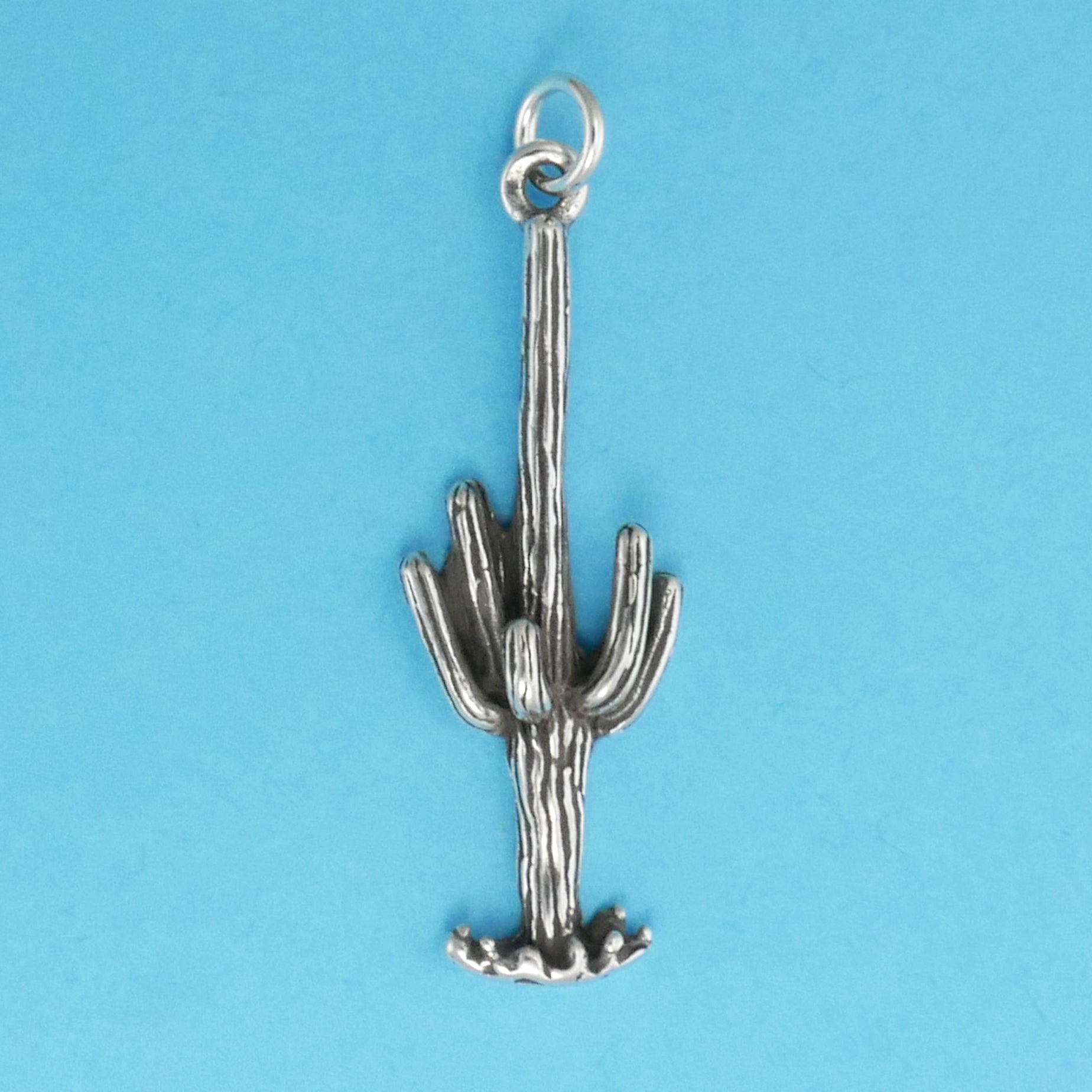 Sterling silver cactus charm top