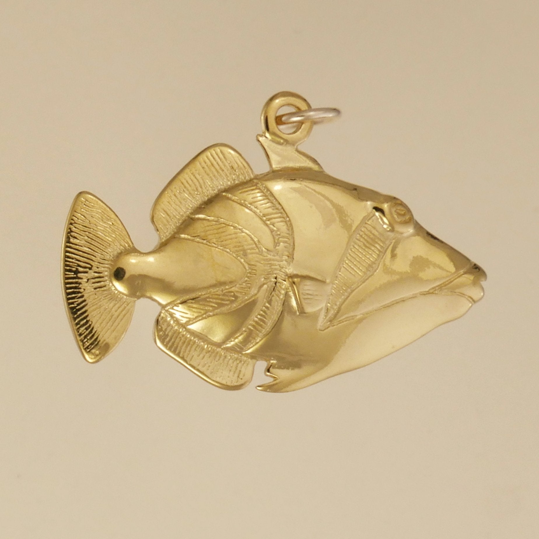 Trigger Fish Pendant - Charmworks
