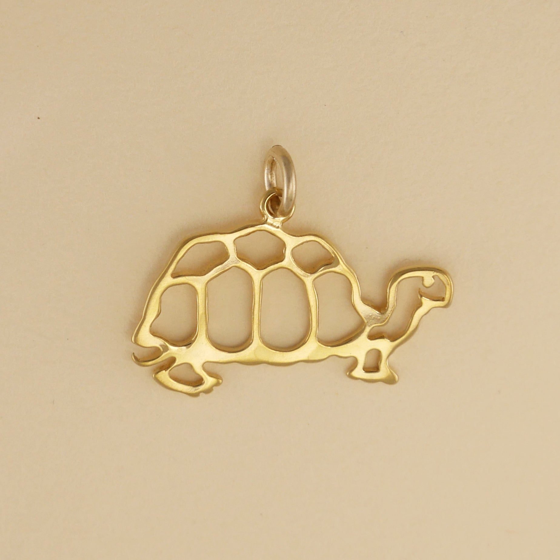Tortoise Charm - Charmworks
