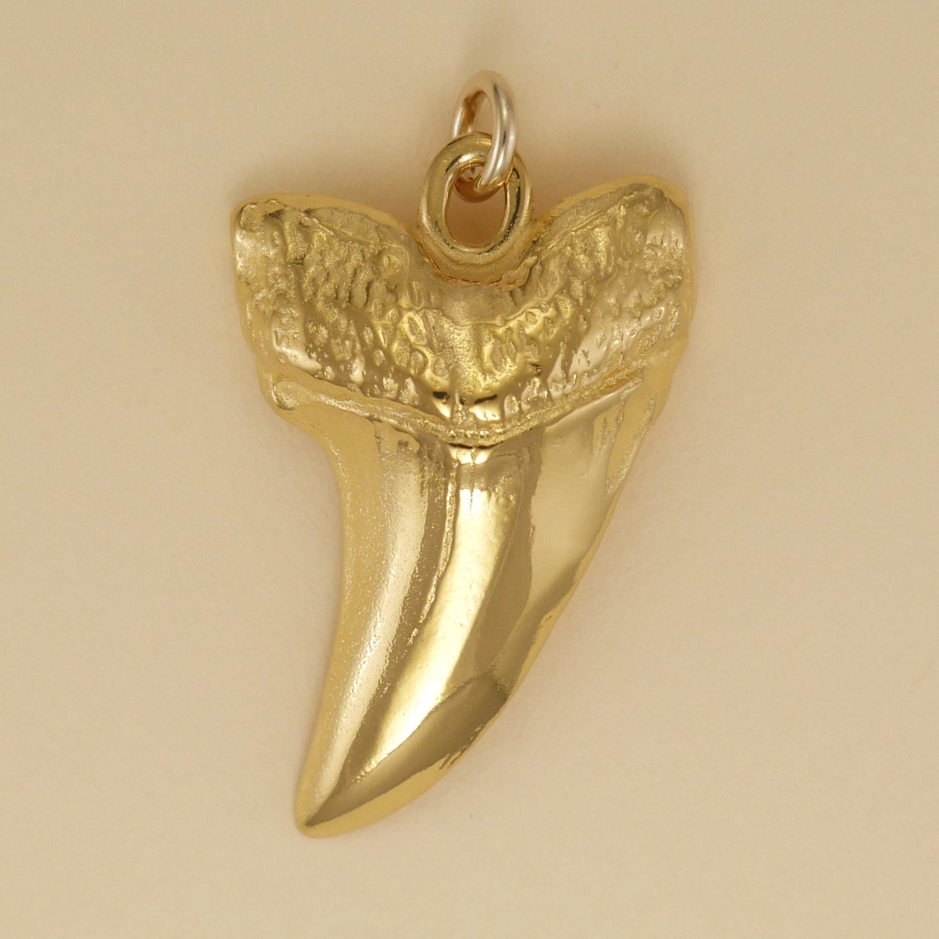 Shark Tooth Pendant - Charmworks