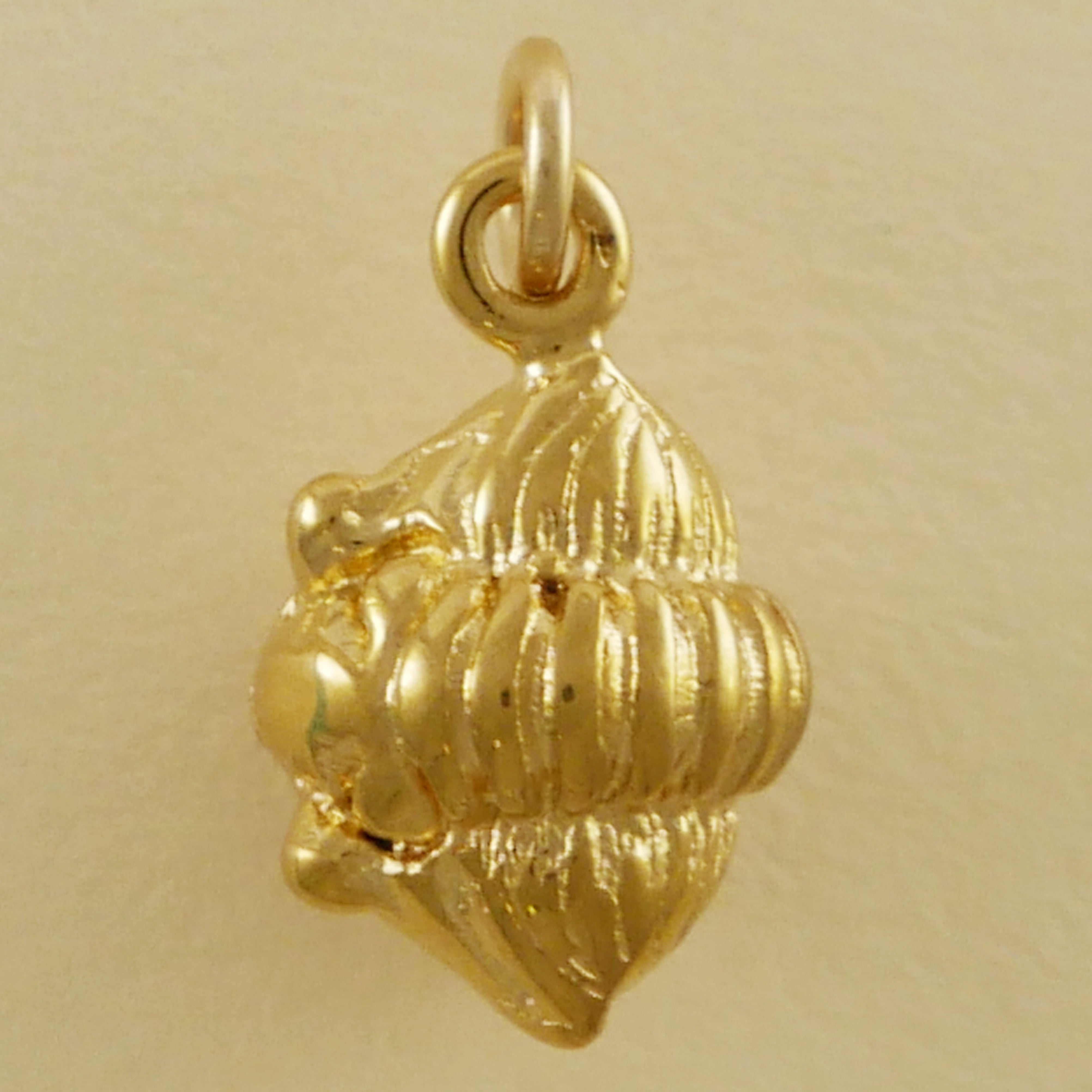 Trilobite Fossil - CharmWorks