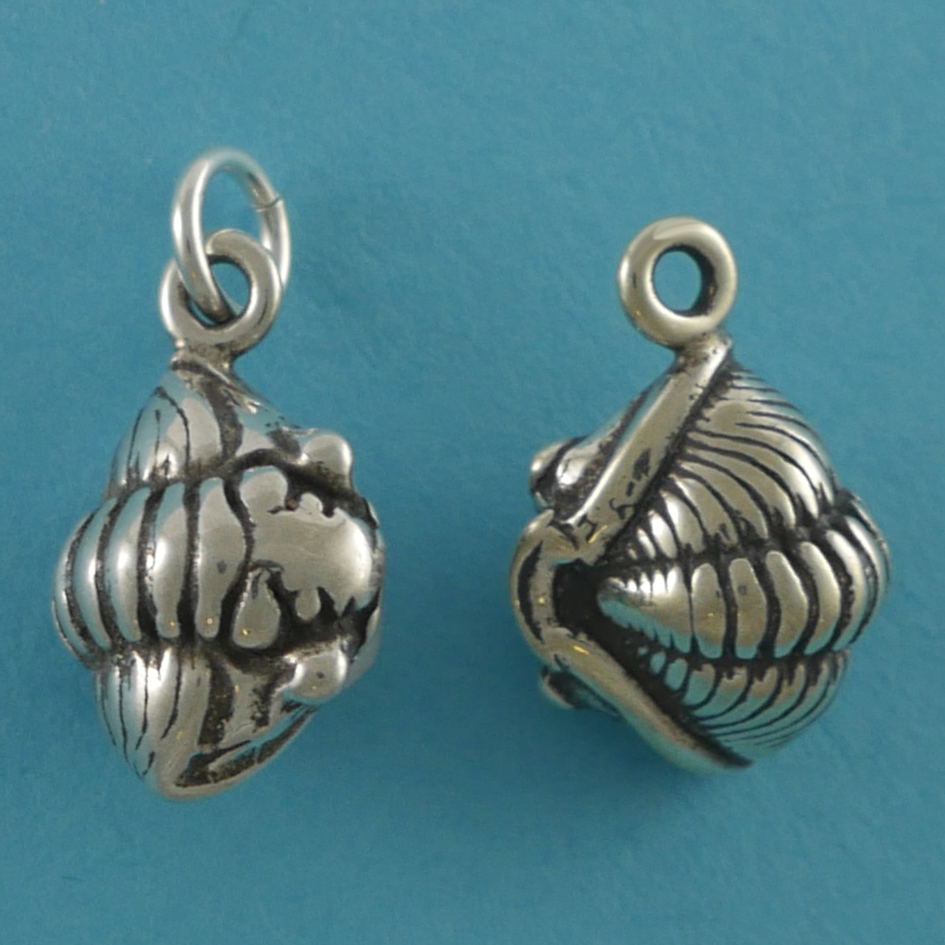 Trilobite Fossil - CharmWorks