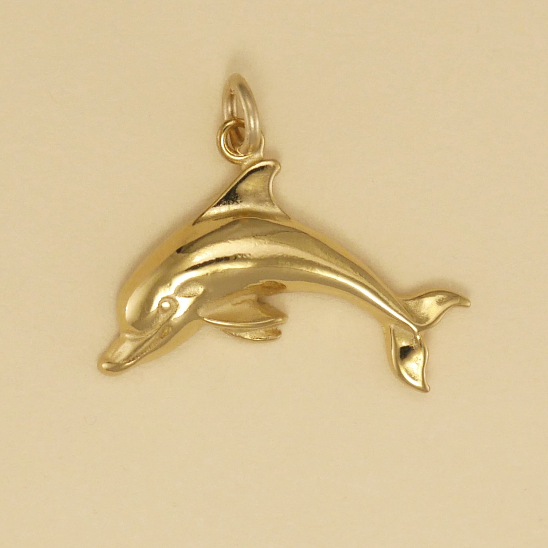 Dolphin - Charmworks