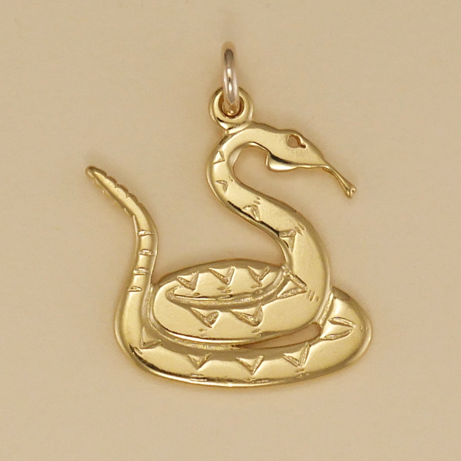Coiled Rattlesnake Charm - Charmworks