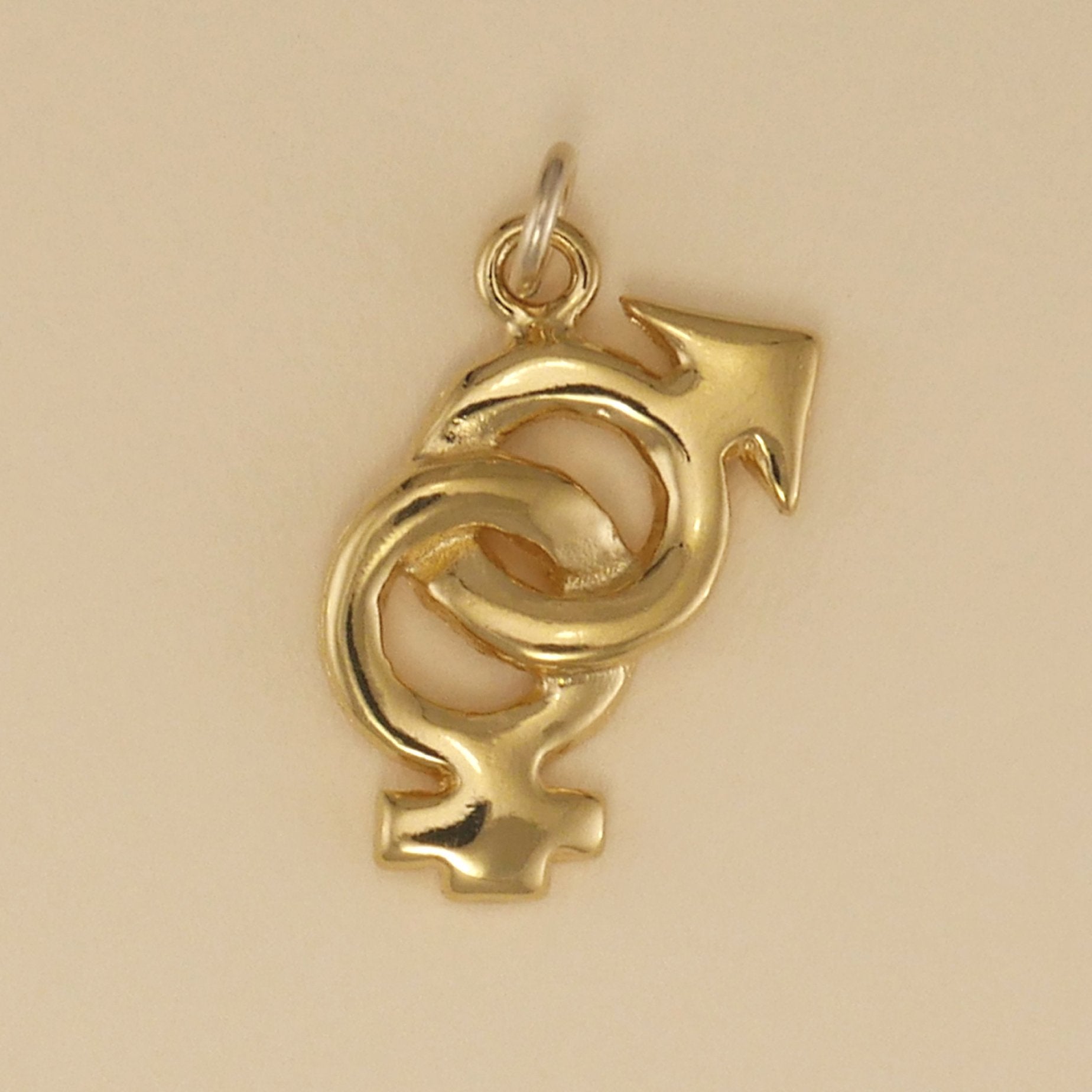 Linked Male Female Symbols Charm - Charmworks