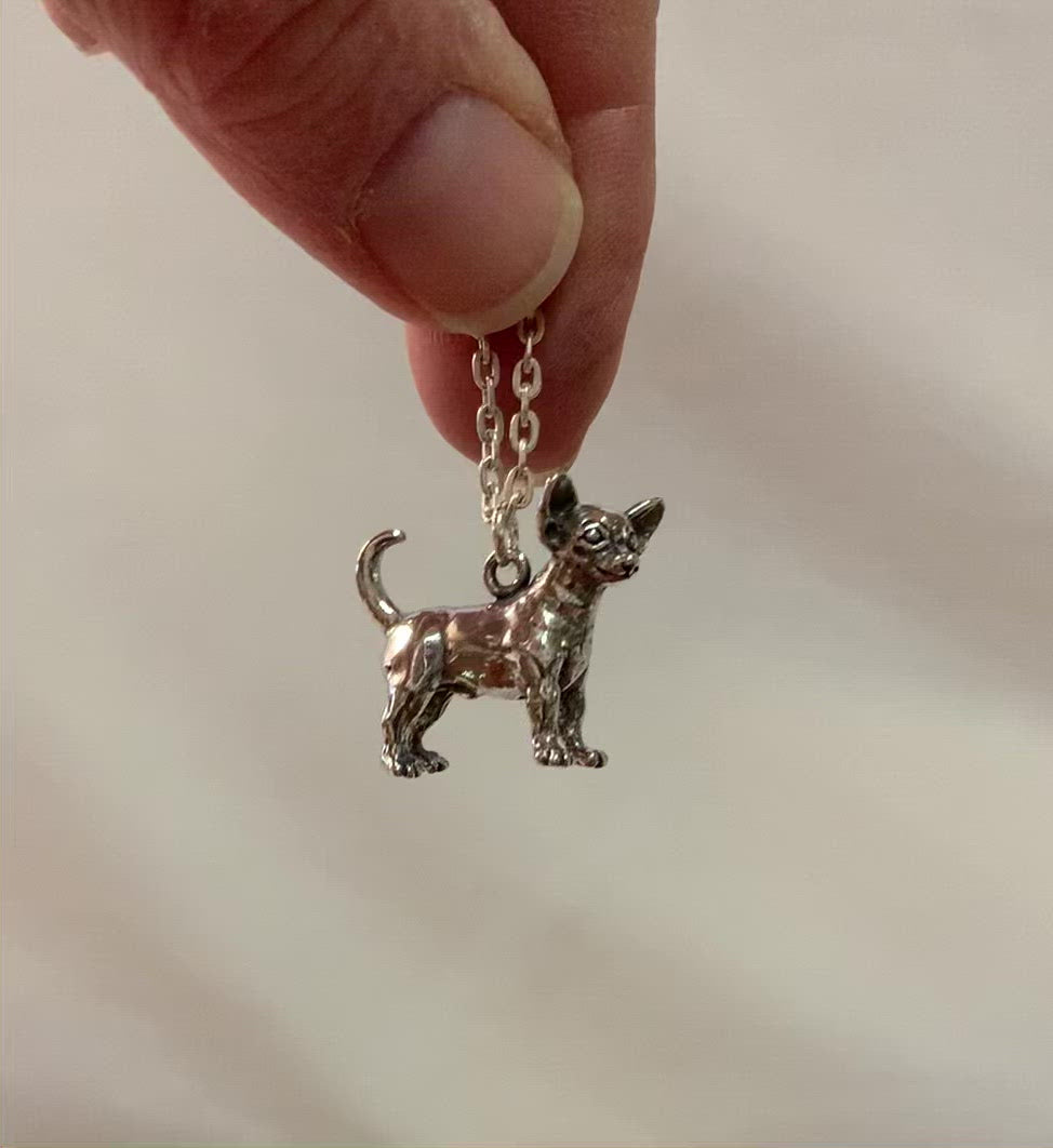 Chihuahua - Charmworks