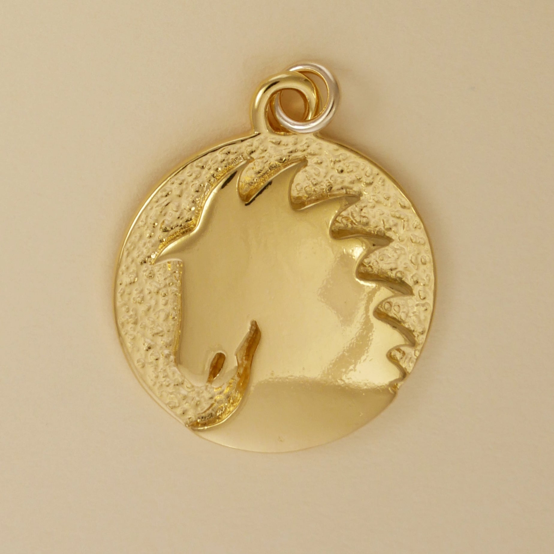 Sunburst Horse Head Pendant - Charmworks