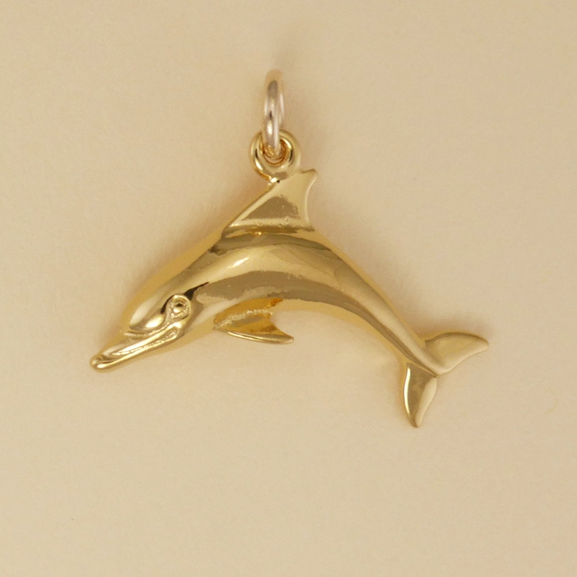 Bottlenose Dolphin Charm - Charmworks