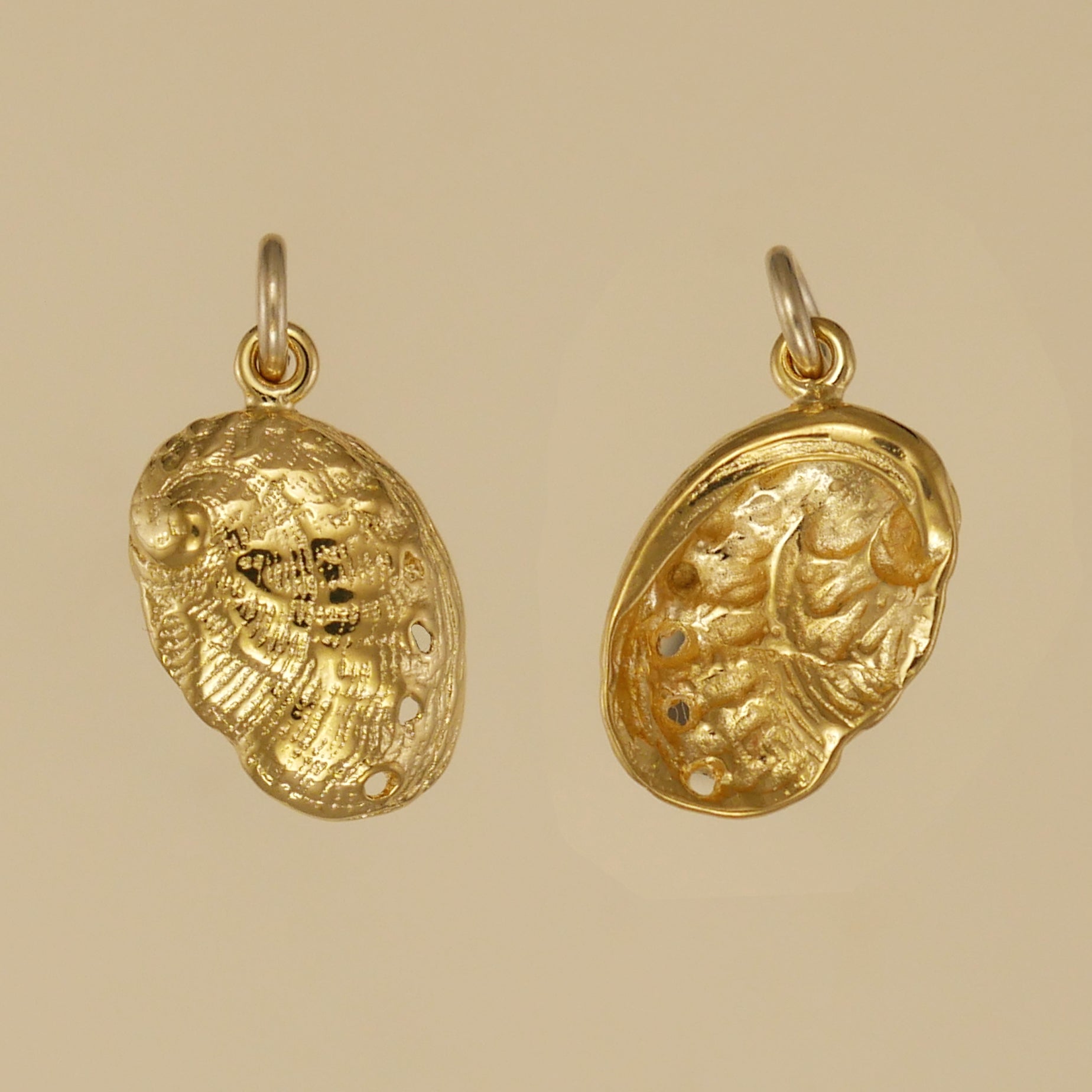 Abalone Shell Charm - Charmworks