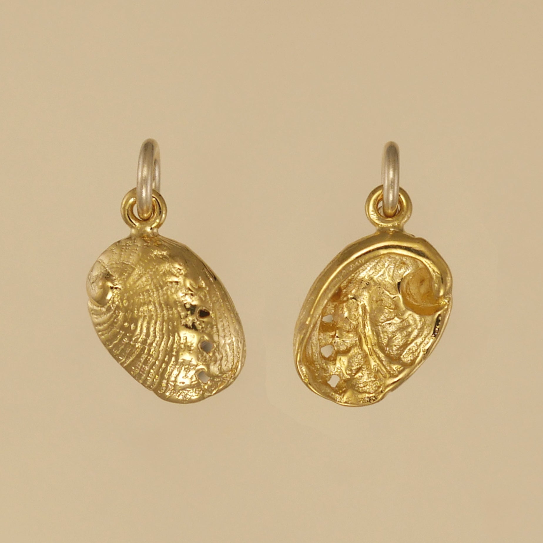 Abalone Shell Charm - Charmworks